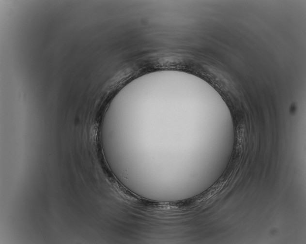 X0000098040278200803280801