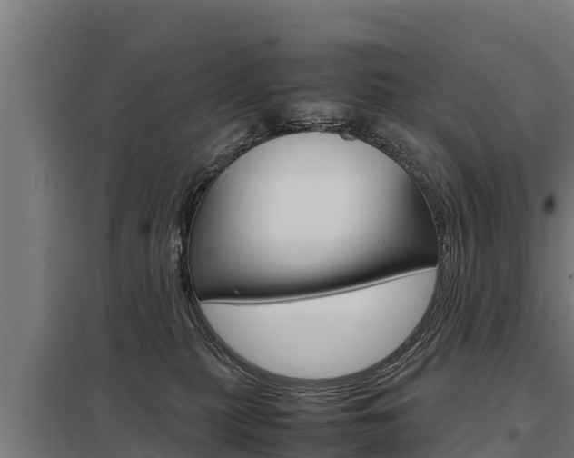 X0000098040279200803280801