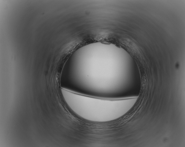X0000098040280200803280801
