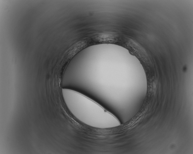 X0000098040281200803280801