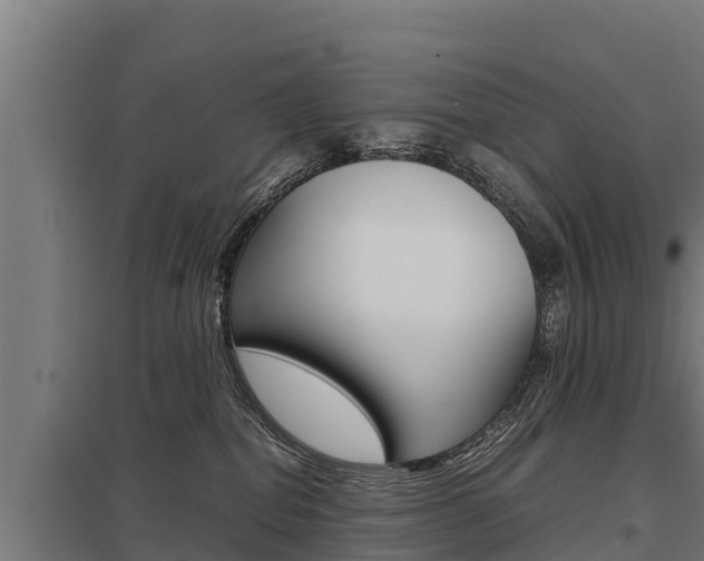 X0000098040282200803280801
