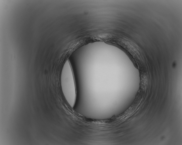 X0000098040284200803280801