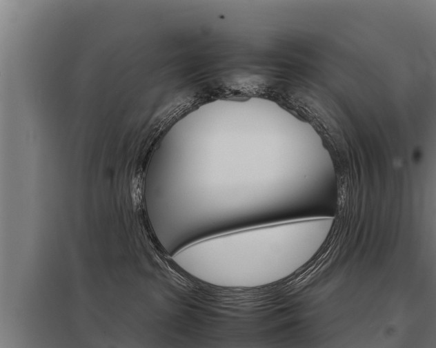 X0000098040285200803280801