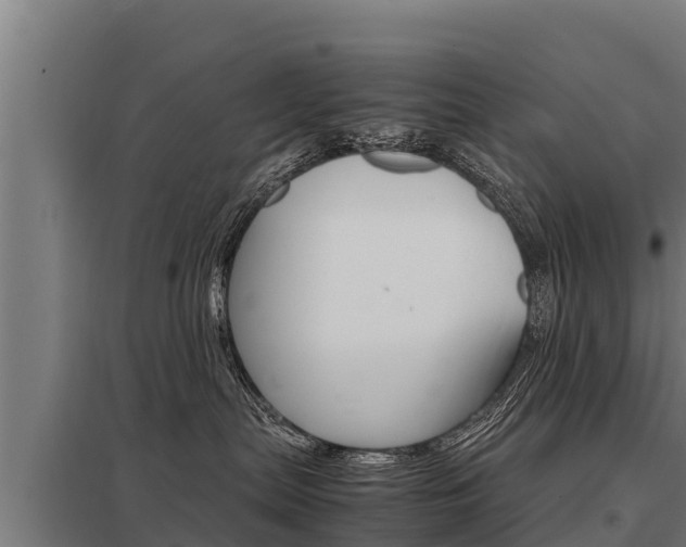 X0000098040287200803280801