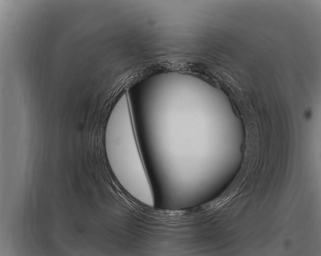 X0000098040288200803280801