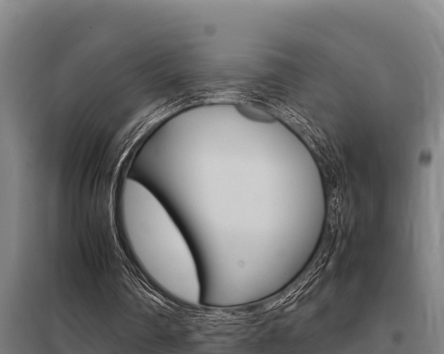 X0000098040290200803280800