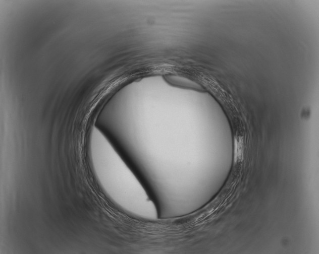 X0000098040291200803280800