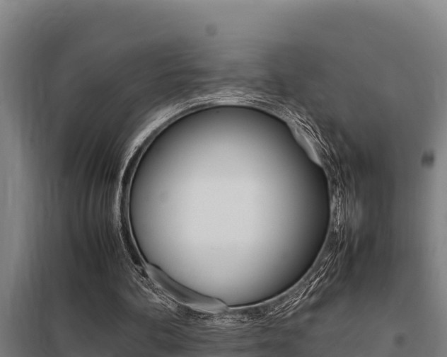 X0000098040292200803280800
