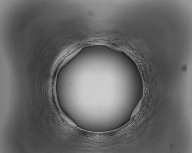 X0000098040293200803280800