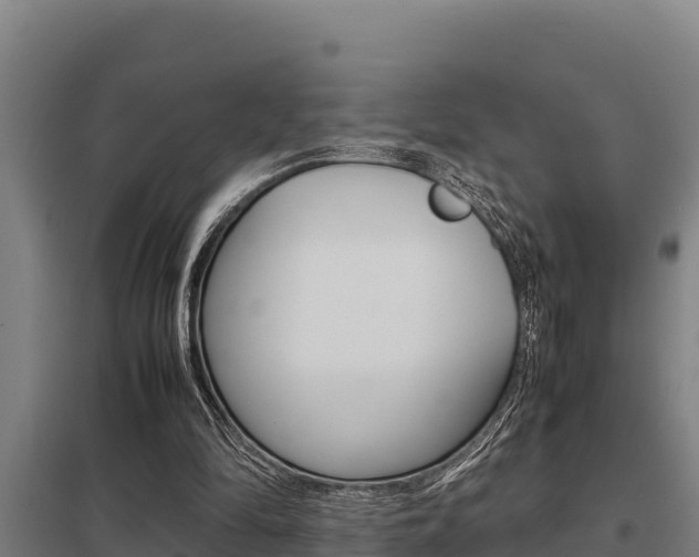 X0000098040294200803280800