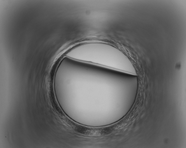 X0000098040295200803280800