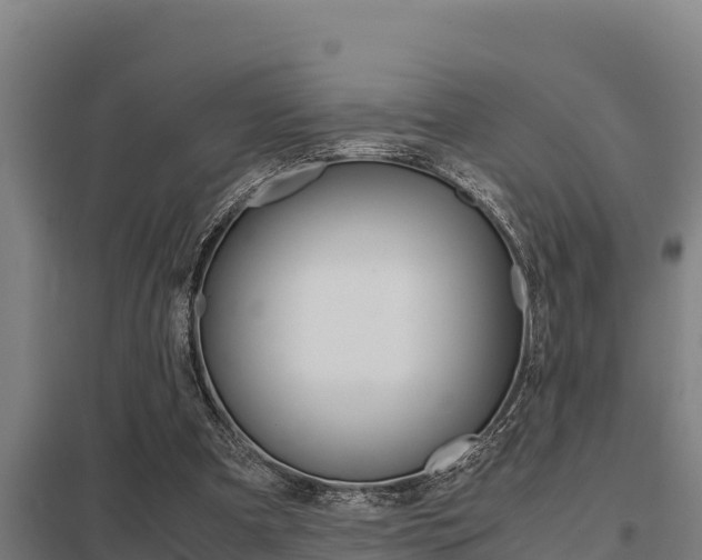 X0000098040297200803280800