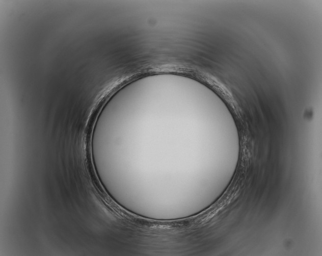 X0000098040298200803280800