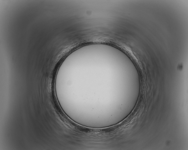 X0000098040299200803280800