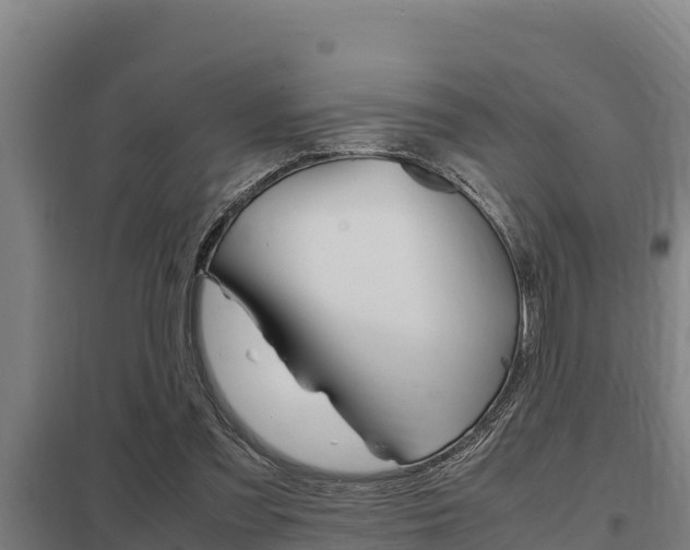 X0000098040301200803280800