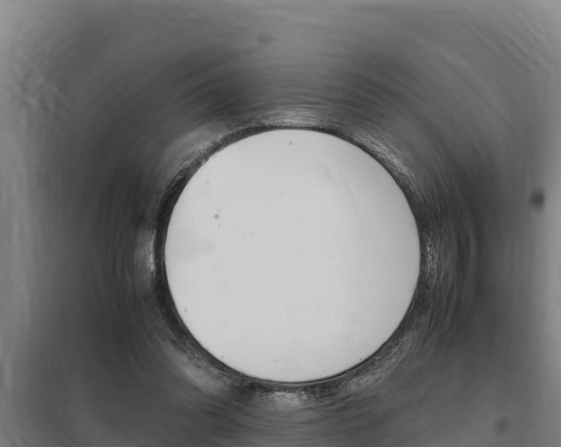 X0000098040302200803280800