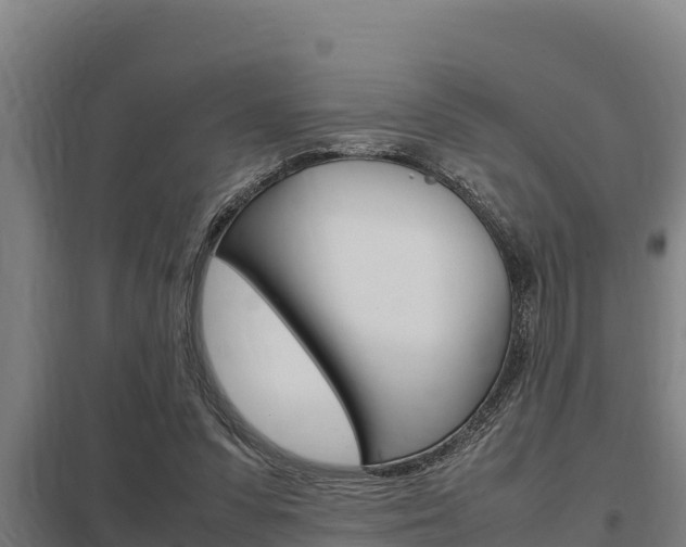 X0000098040303200803280800