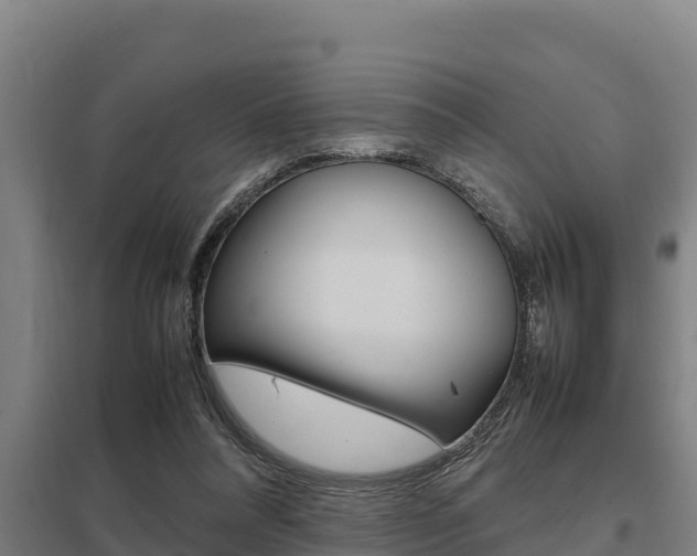 X0000098040304200803280800