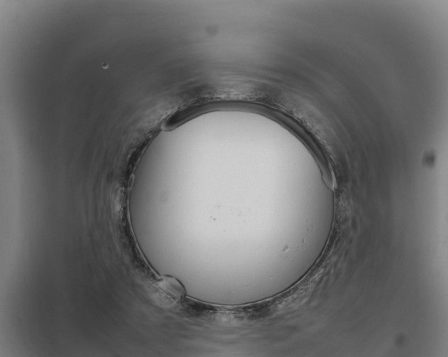 X0000098040305200803280800