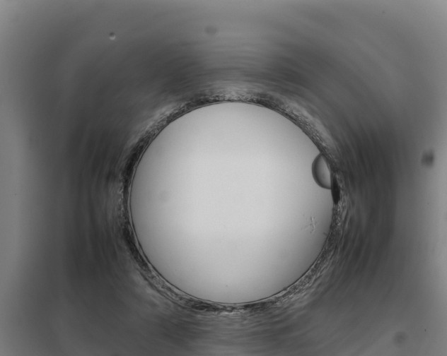 X0000098040306200803280800