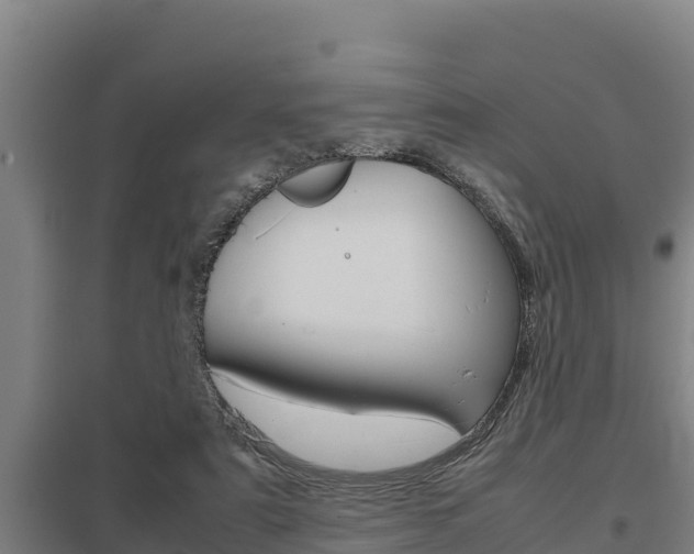 X0000098040307200803280800