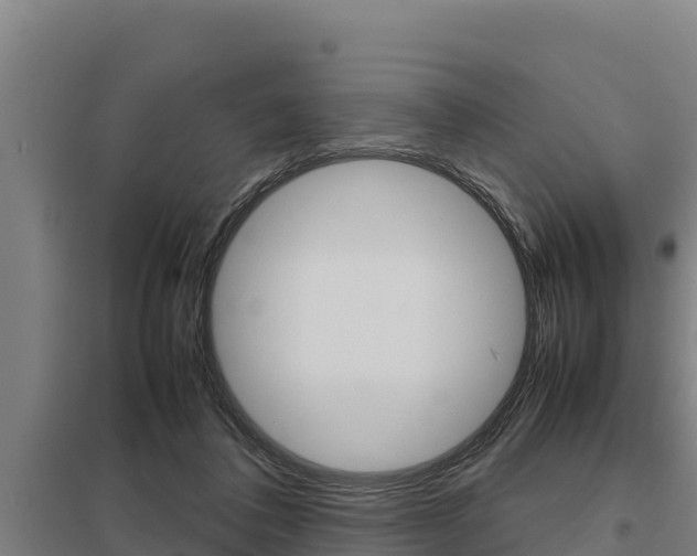 X0000098040308200803280800
