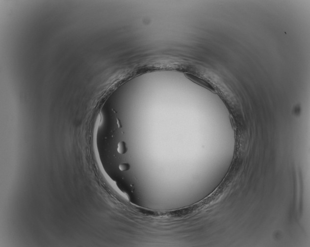 X0000098040309200803280800