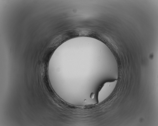 X0000098040311200803280800