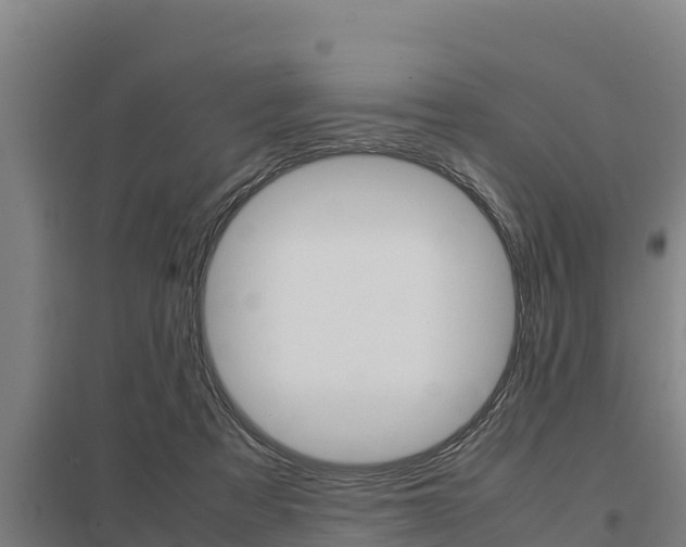 X0000098040313200803280800