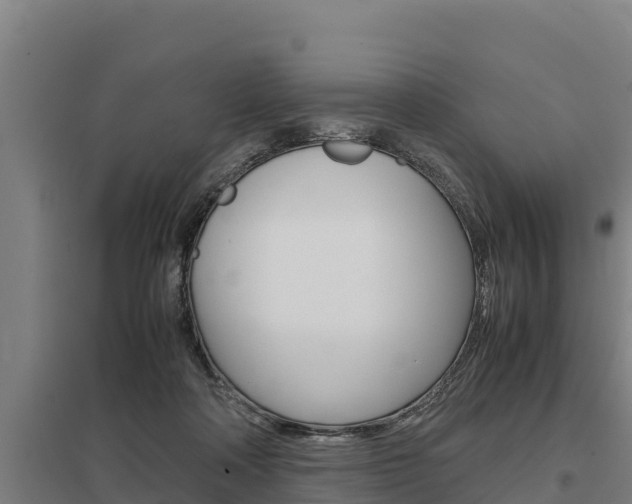 X0000098040314200803280800