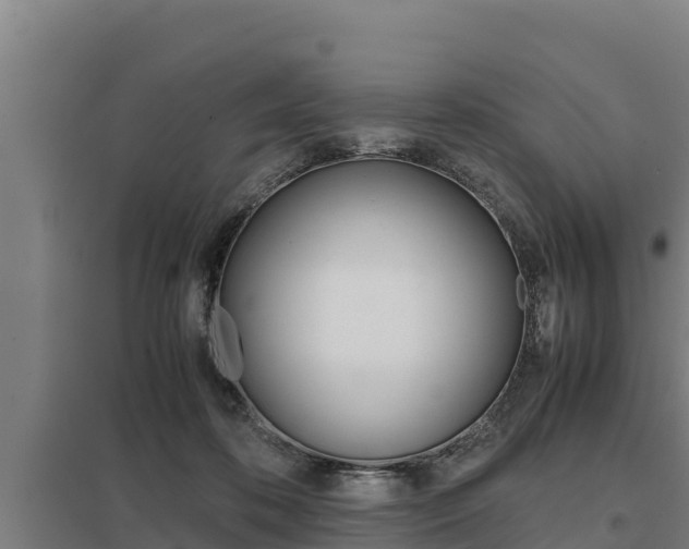X0000098040316200803280800