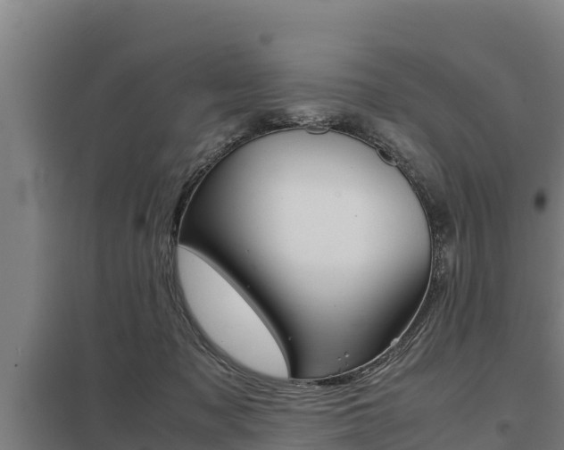 X0000098040317200803280800