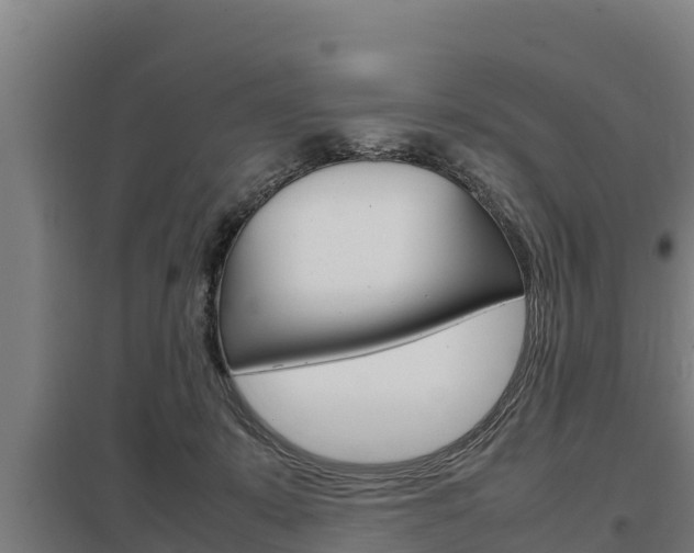 X0000098040319200803280800