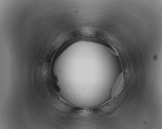 X0000098040320200803280800