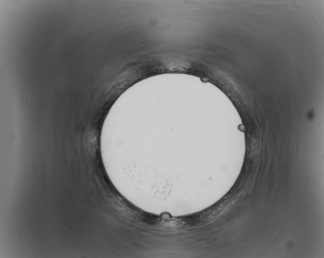 X0000098040321200803280800