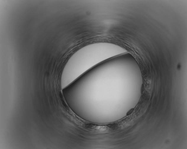 X0000098040324200803280800