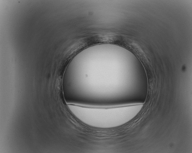 X0000098040325200803280800