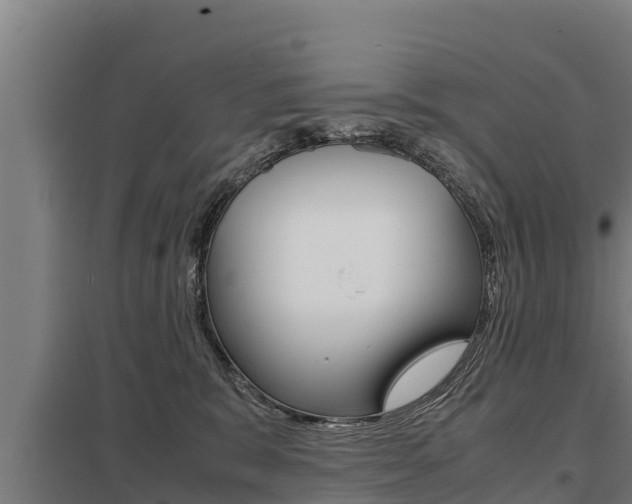 X0000098040327200803280800