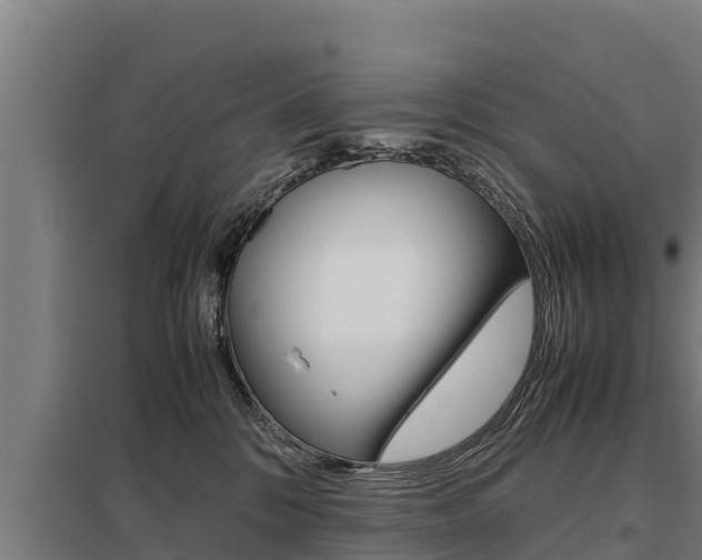 X0000098040328200803280800