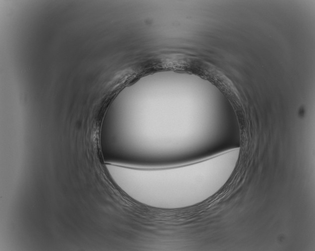 X0000098040329200803280800