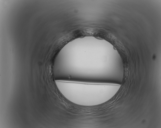X0000098040331200803280800
