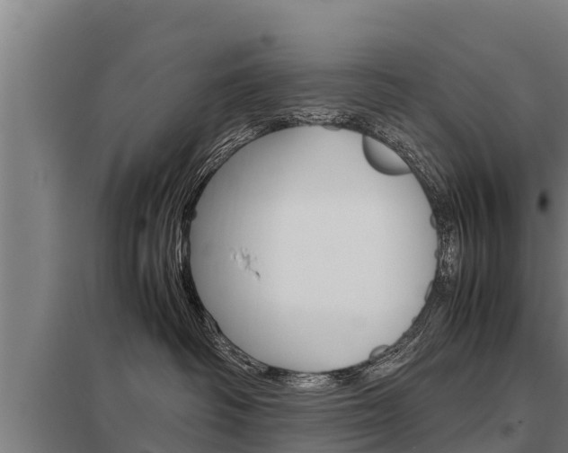 X0000098040334200803280800