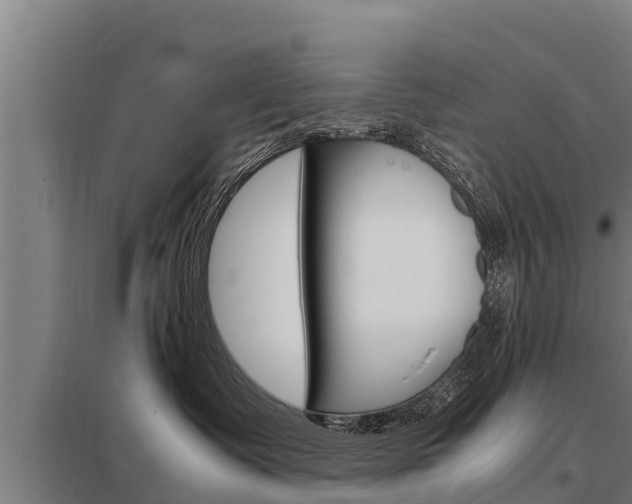 X0000098040335200803280800