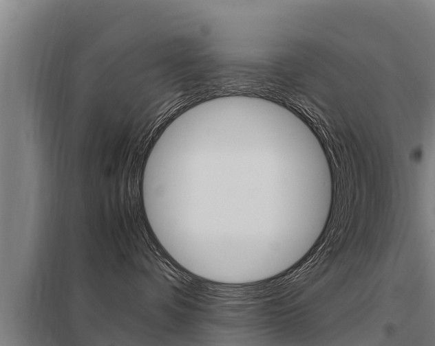 X0000098040336200803280800