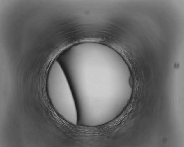 X0000098040337200803280759