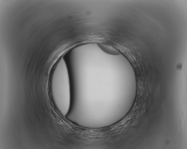 X0000098040338200803280759
