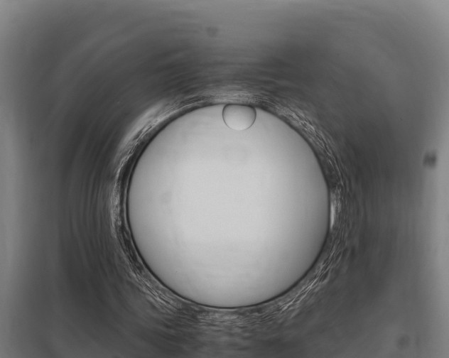X0000098040339200803280759