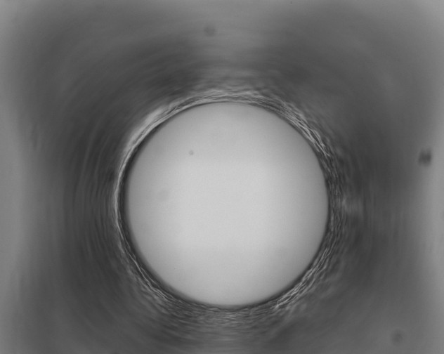 X0000098040340200803280759