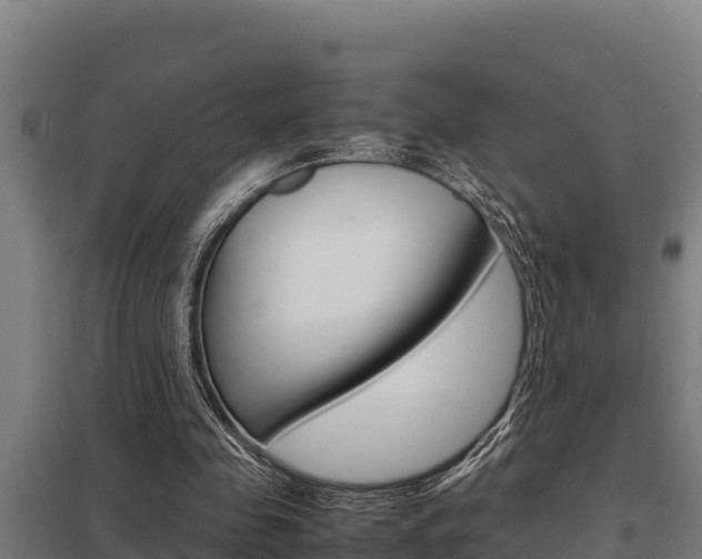 X0000098040341200803280759