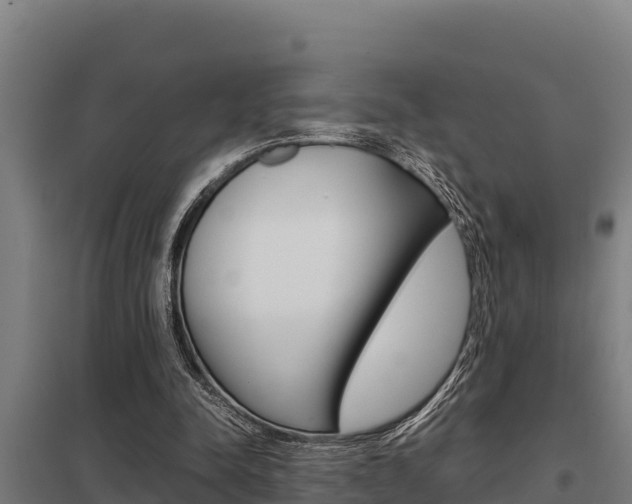 X0000098040342200803280759